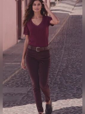 Peruvian connection velveteen brown pants jeans size 4